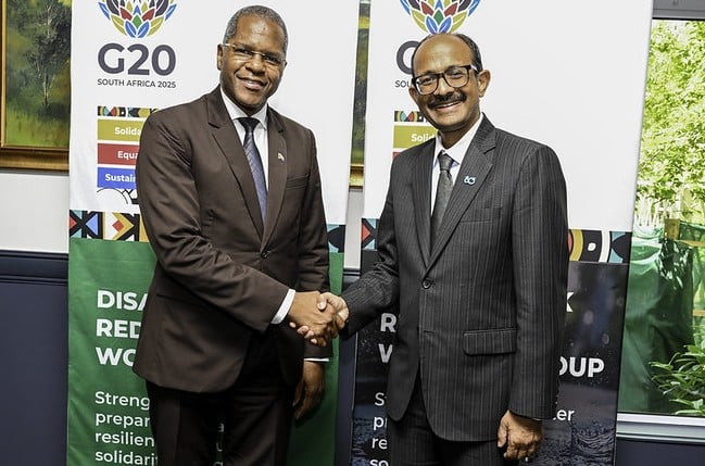 G20 - Cape Town October Meeting - The Presidency and UNDRR
