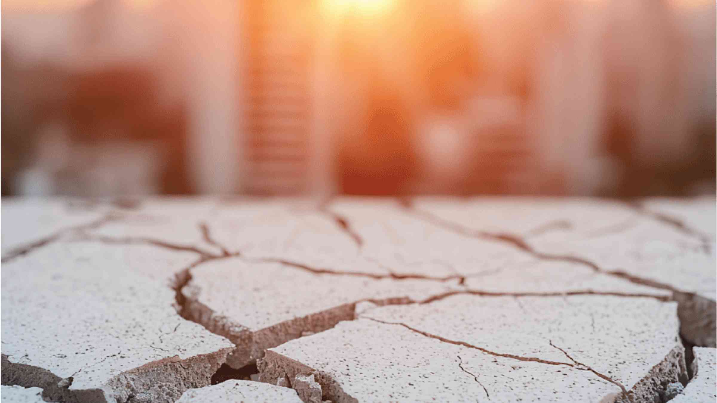 Cracked ground during drought